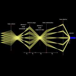 Iluminação de Köhler